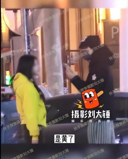 刘大锤爆料鸡哥视频大全,鸡哥视频大全背后的精彩瞬间
